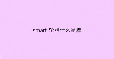 smart轮胎什么品牌(smart轮胎什么牌子)